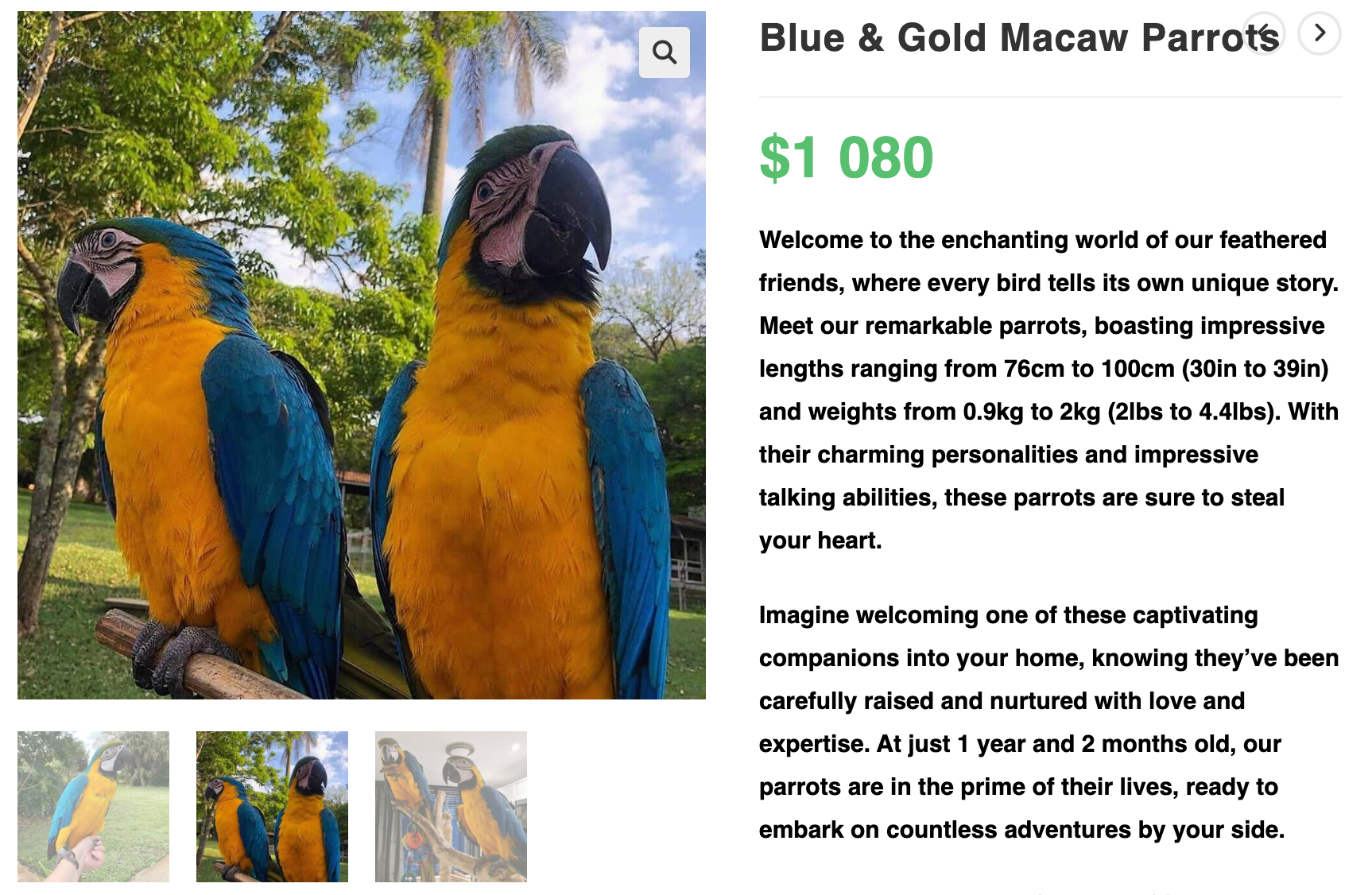Wildlife trafficking overview
