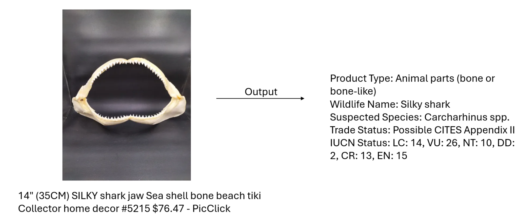 Vision language models for wildlife detection